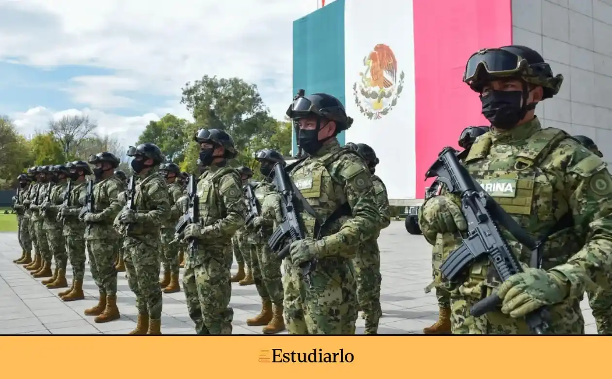 Fuerzas Armadas México