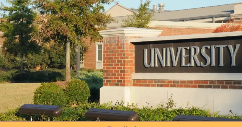 Universidad pública vs universidad privada ¿Cuál es la mejor opción