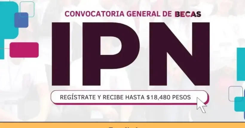 Becas IPN para el nivel superior Todo lo que necesitas saber fb