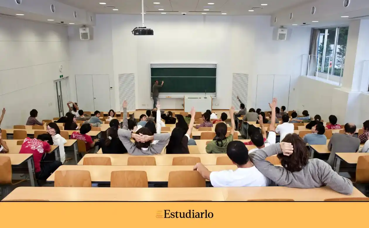 Universidad