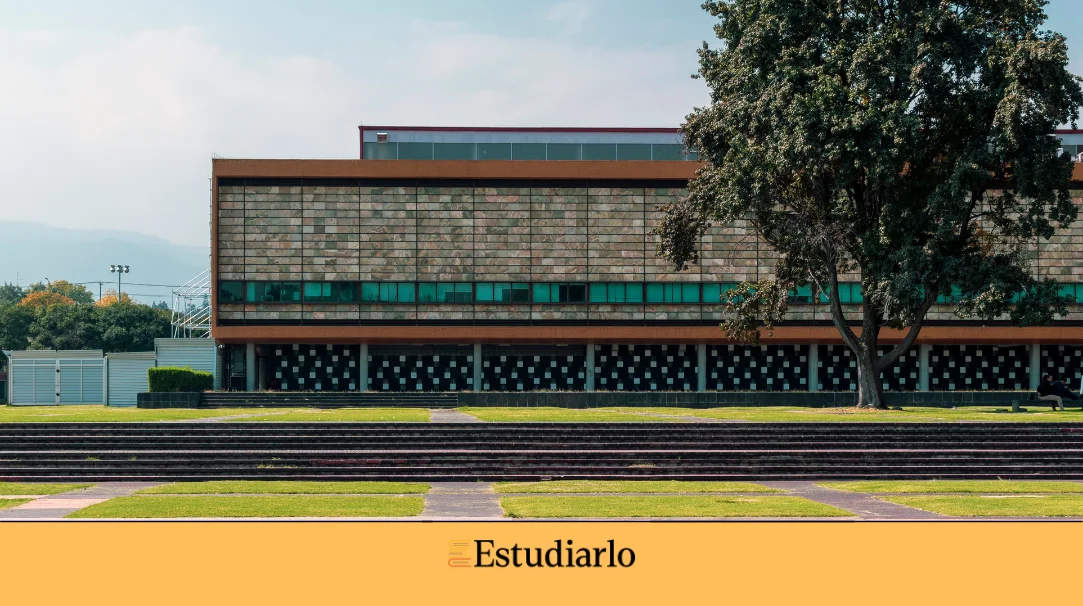 Beca UNAM